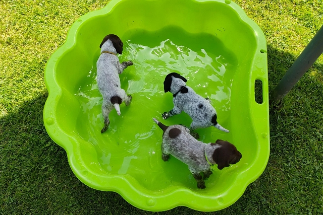 Wasser