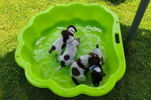 Wasser