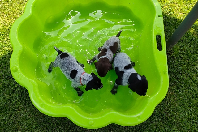 Wasser