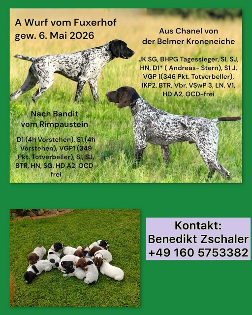 Aktualisiert
