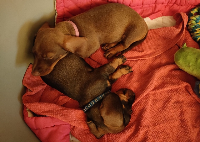 Toni und Trude